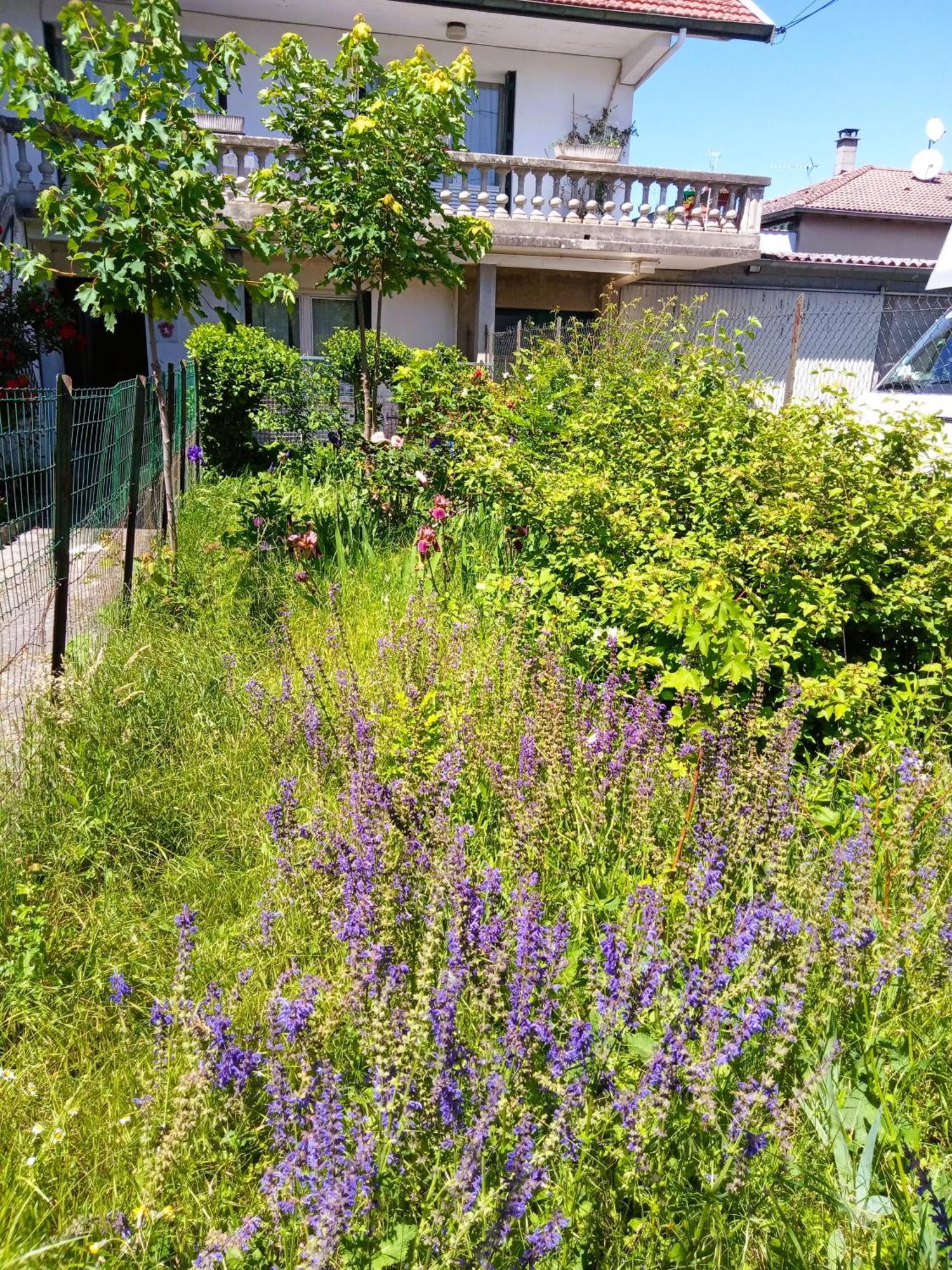 Rosalie Cottage Beaurepaire  Eksteriør billede